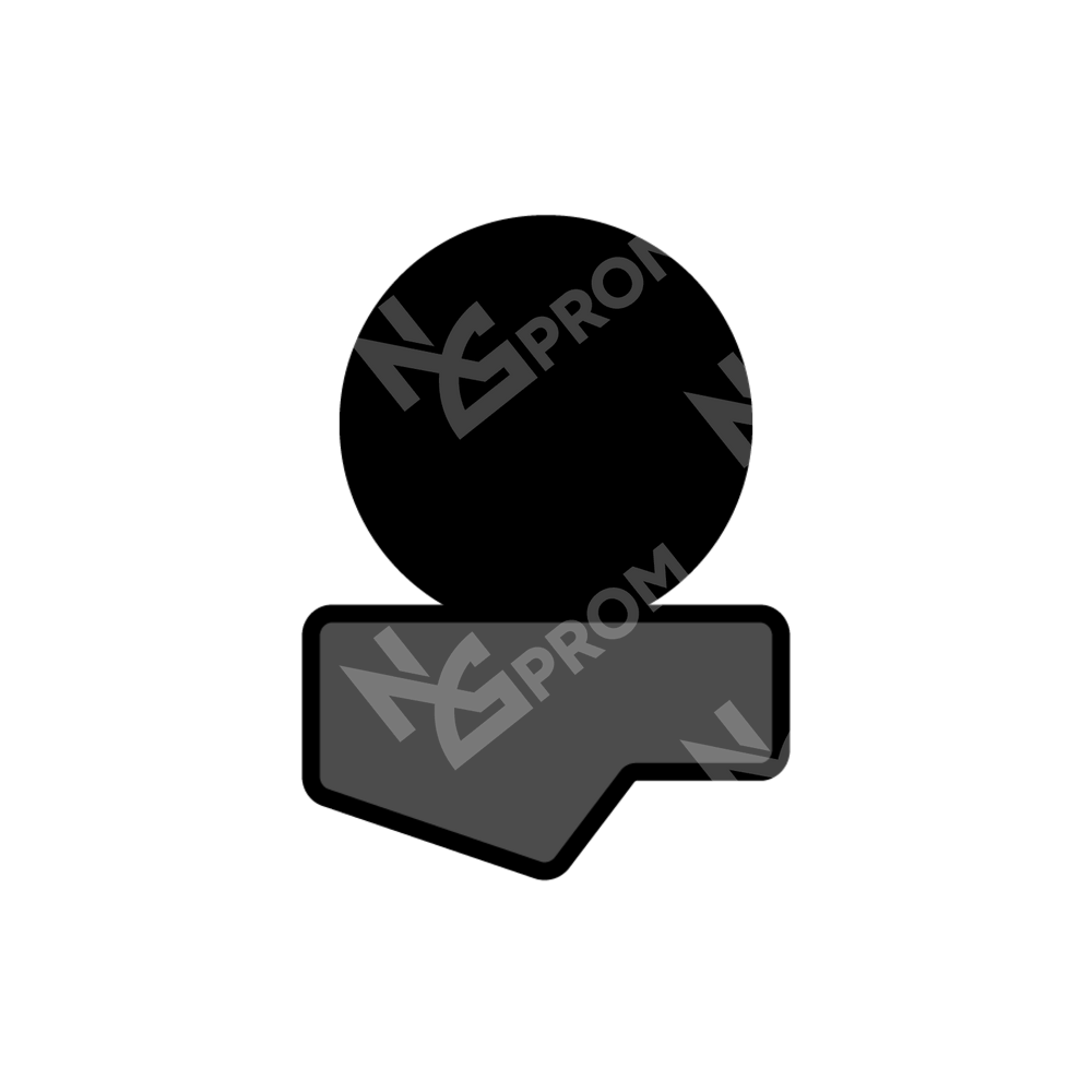 Уплотнения штока R4-250 (250-271-8,1)