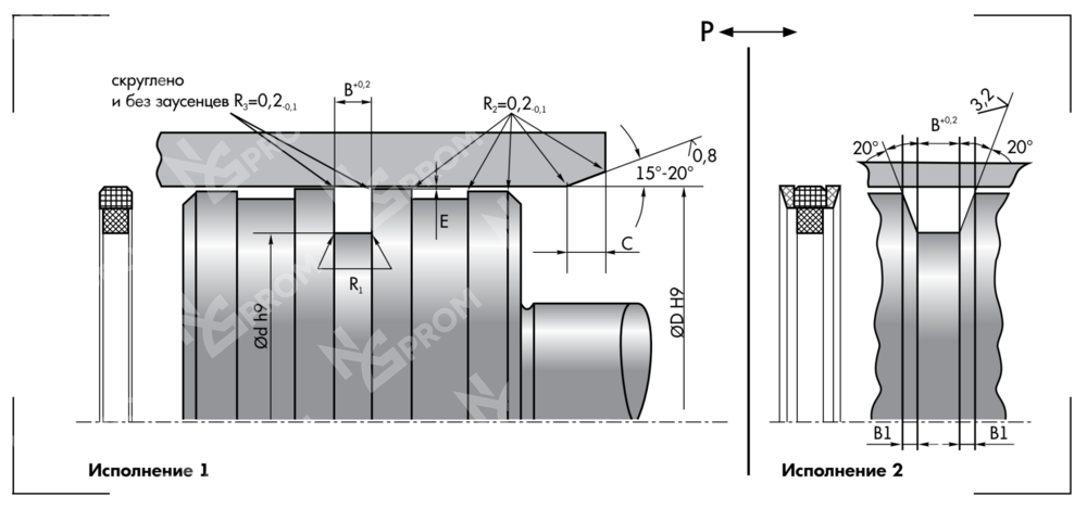 Уплотнение поршня P4-170 (170-151,1-8,1)