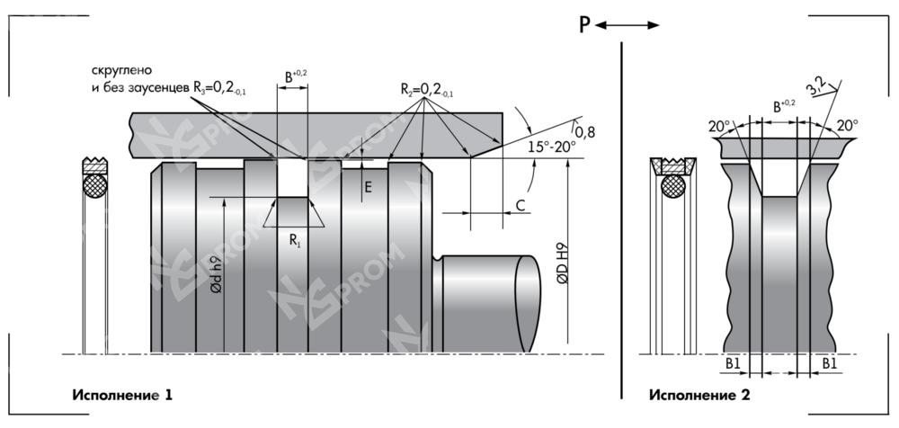 Уплотнение поршня P20-250 (250-229-8,1)