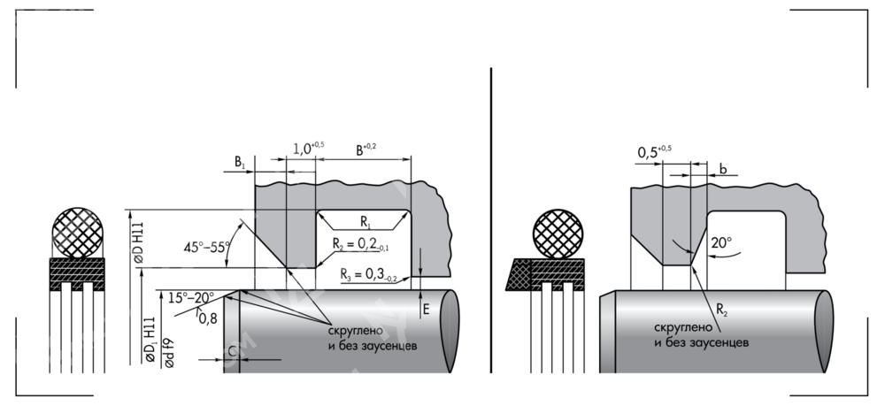 Грязесъемник W50-200E (200-215,5-6,3)