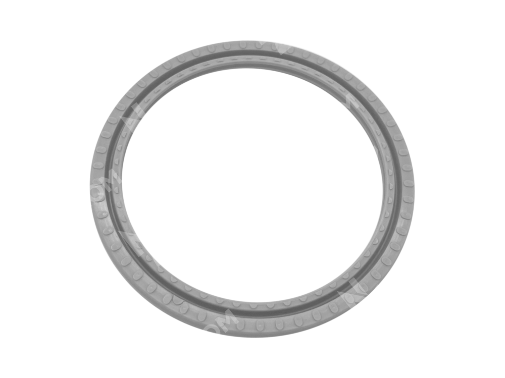 Уплотнение поршня SPS 50-41-2,9 (SPS 0500 0410 029 B0)