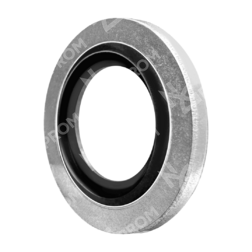 Кольцо USIT R 1/4
