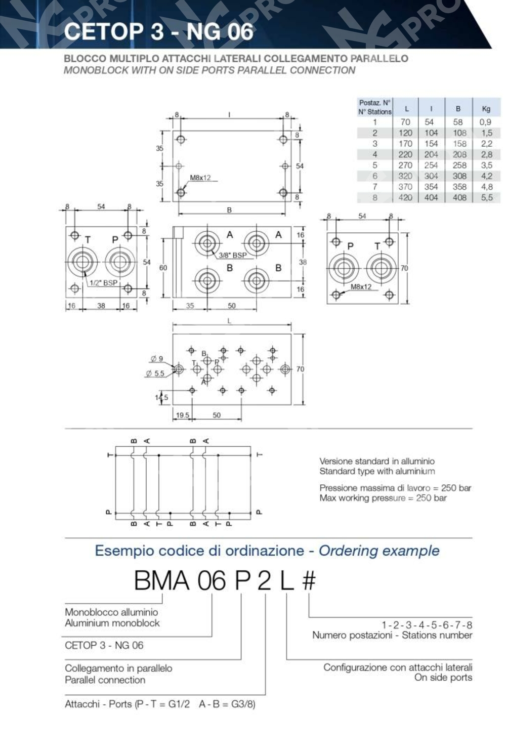 Плита монтажная BMA06P2L3