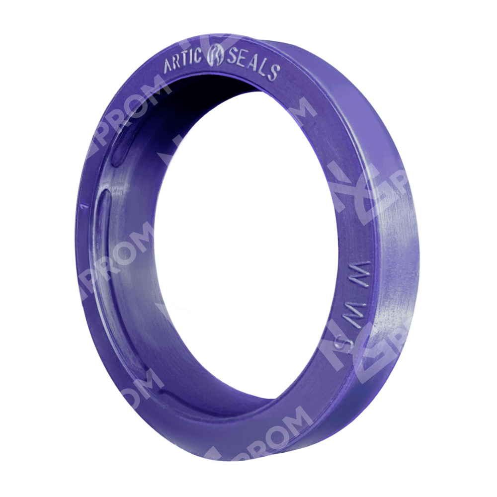 Грязесъемник WWS 30-38-4/7 (WWS 0300 0380 040 B0)