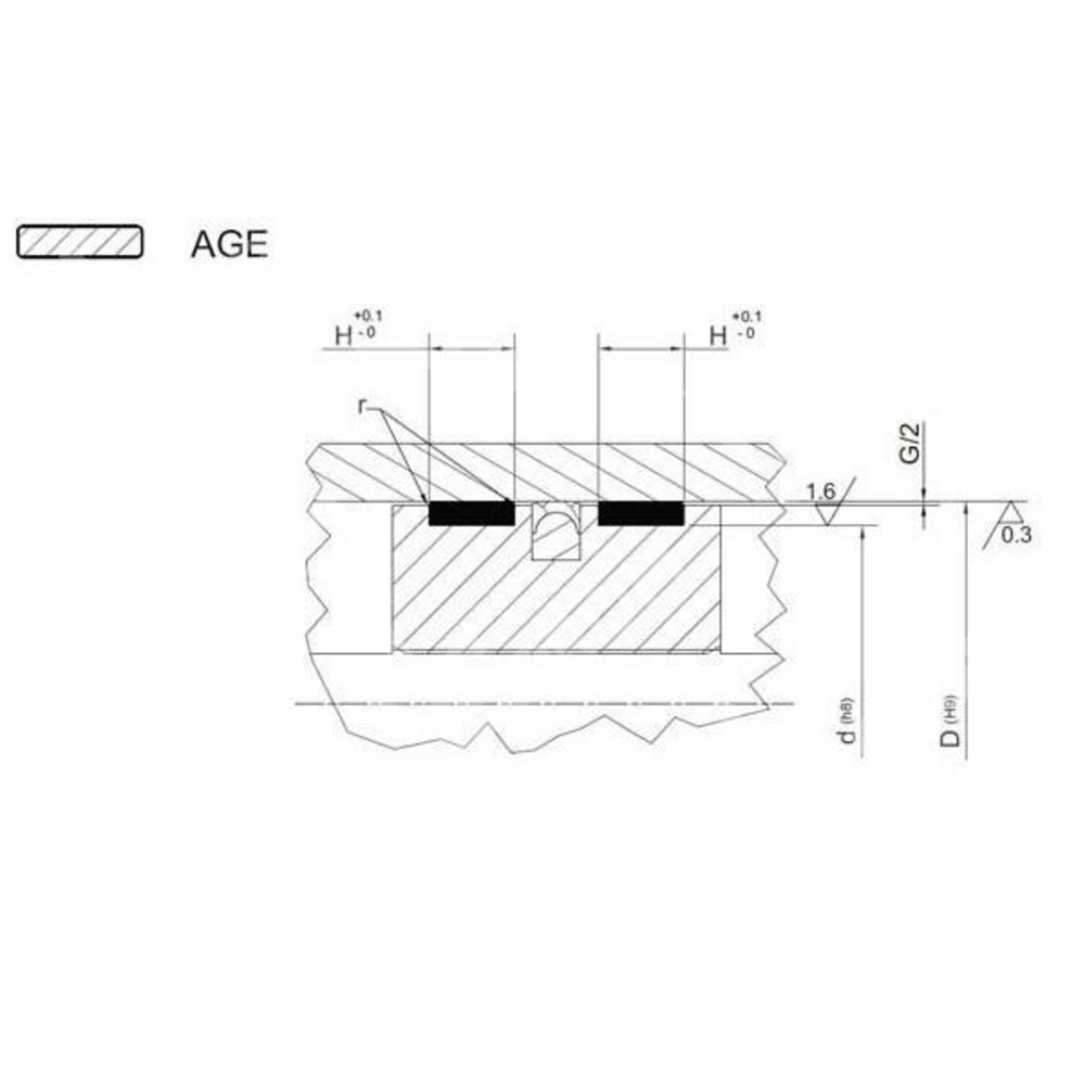 Направляющее кольцо AGE 210 (204-210-19,2)