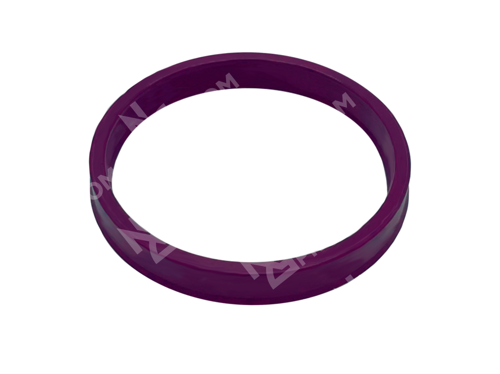 Манжета RSC 55-65-5/6 (RSC 0550 0650 050 C0)