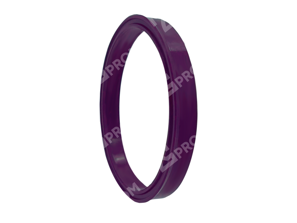 Манжета RSC 50-60-10/11 (RSC 0500 0600 100 C0)