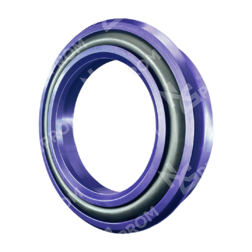 Манжета RPO 60-70-12/13 (RPO 0600 0700 120 CN)